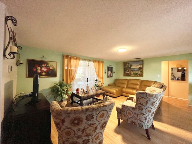 living room with a textured ceiling and light hardwood / wood-style flooring