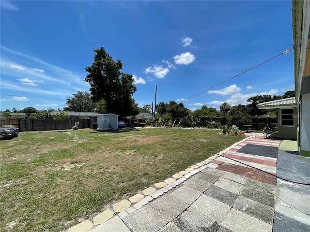 view of yard featuring a patio area and a shed