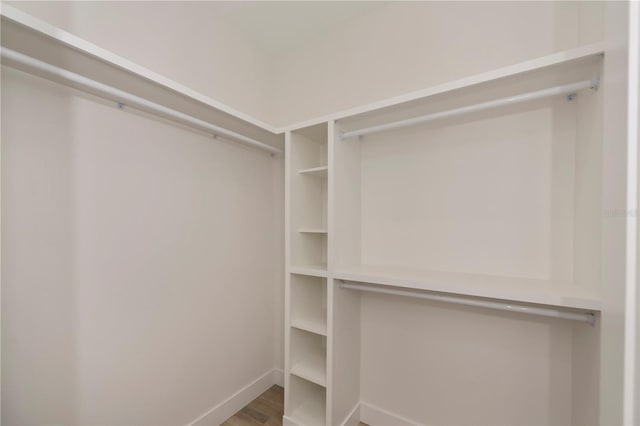 walk in closet with hardwood / wood-style flooring