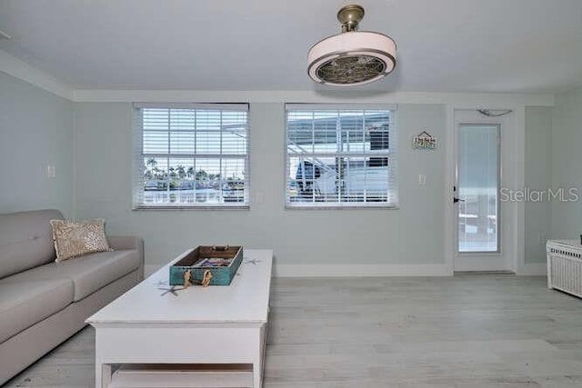 living room featuring radiator and light wood-type flooring