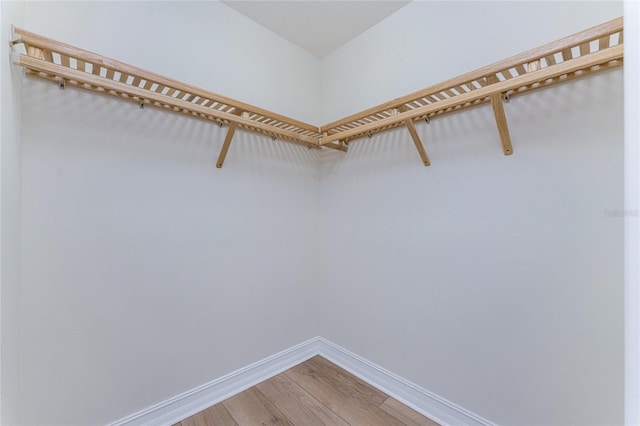 walk in closet featuring hardwood / wood-style floors