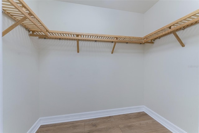 spacious closet featuring hardwood / wood-style floors