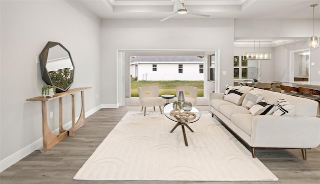 living room featuring a raised ceiling, ceiling fan with notable chandelier, and hardwood / wood-style flooring