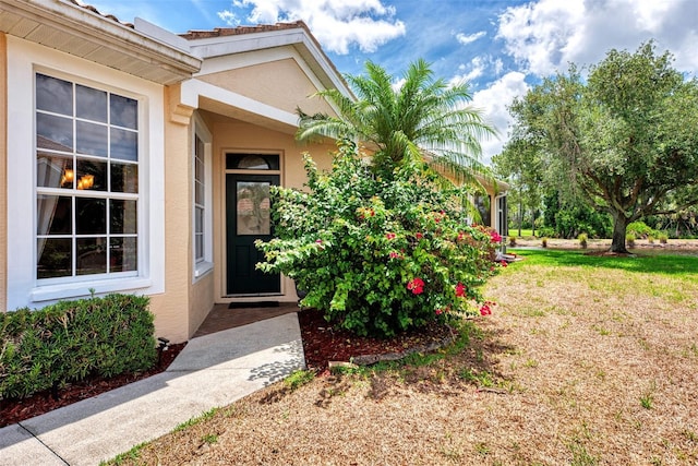 view of exterior entry featuring a lawn