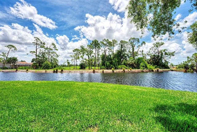 view of water feature