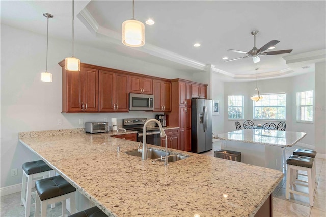 kitchen featuring a tray ceiling, hanging light fixtures, stainless steel appliances, and sink