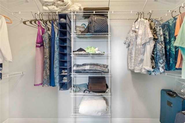 view of spacious closet