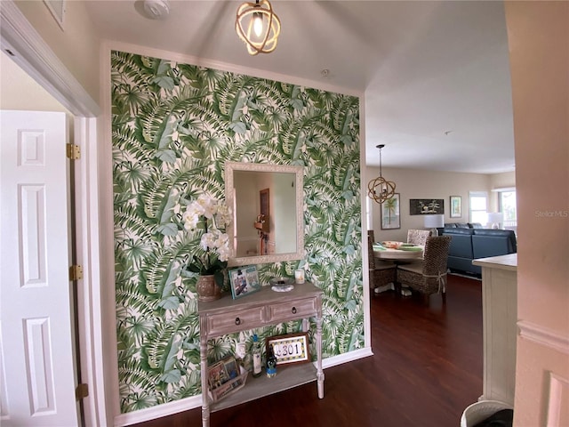 hallway with dark hardwood / wood-style floors