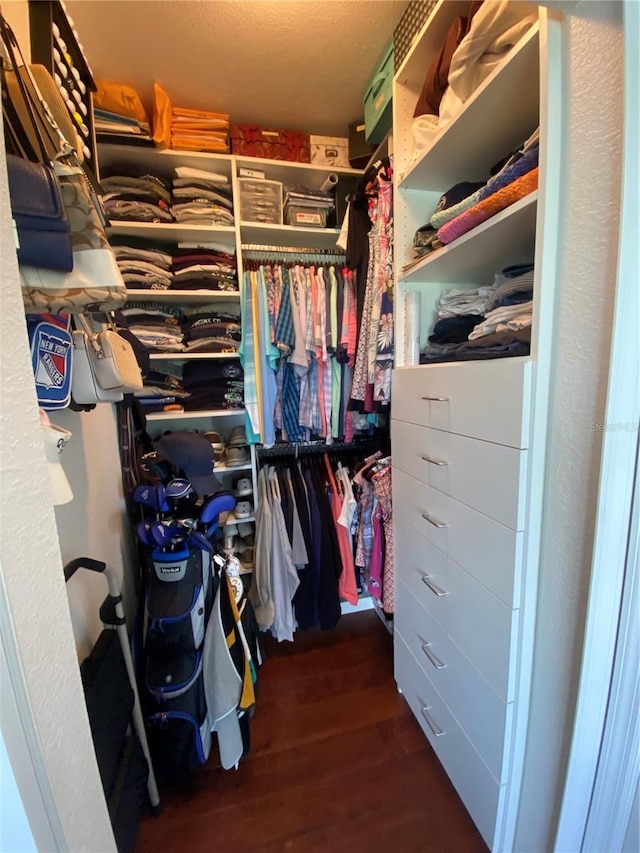 walk in closet featuring hardwood / wood-style floors