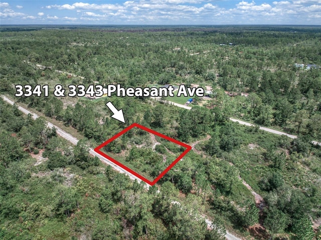 3343 Pheasant Ave, Lake Placid FL, 33852 land for sale