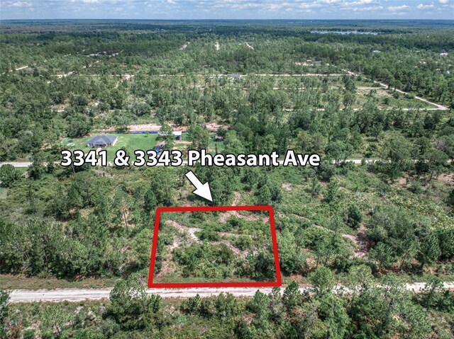 Listing photo 2 for 3343 Pheasant Ave, Lake Placid FL 33852