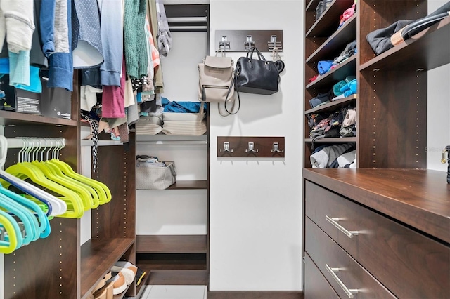 view of spacious closet