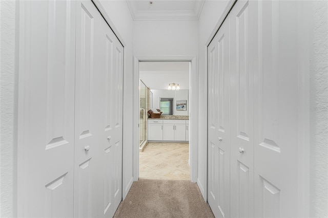 corridor featuring light carpet and ornamental molding