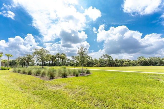 view of property's community with a yard