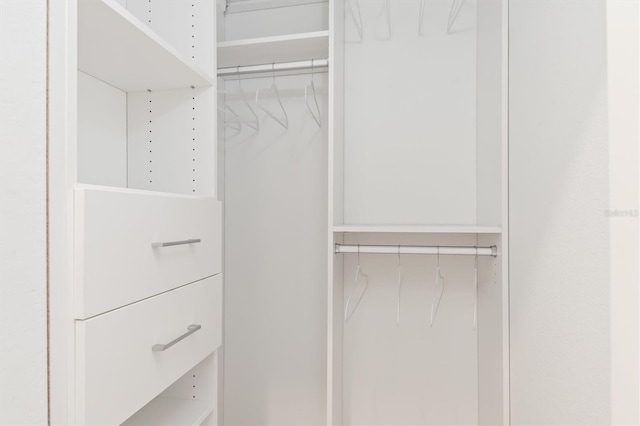 view of walk in closet