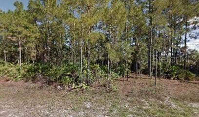 461 Lackey Ave S, Lehigh Acres FL, 33974 land for sale