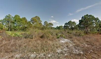 241 Nancy Ave S, Lehigh Acres FL, 33974 land for sale