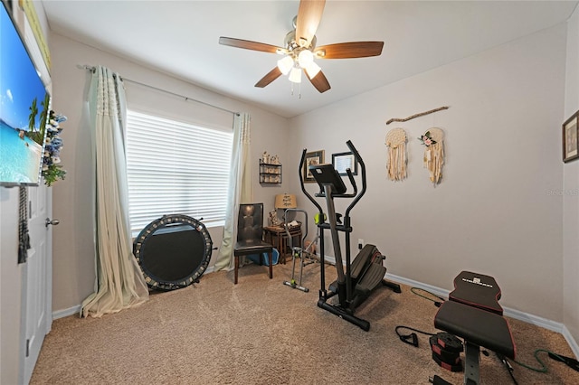 27441 Natal Dr, Punta Gorda, FL 33983 - photo 25