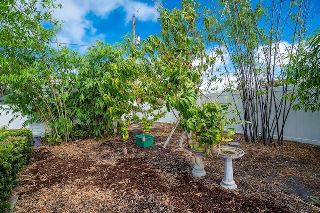 22062 Marshall Ave, Port Charlotte, FL 33952 - view of yard