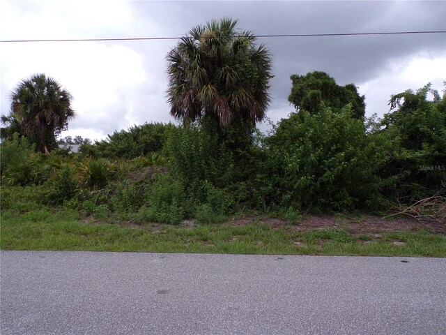 Cosgrove Rd, North Port, FL 34291 - photo 5