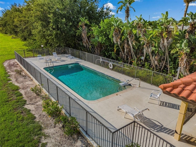 view of pool featuring a patio area