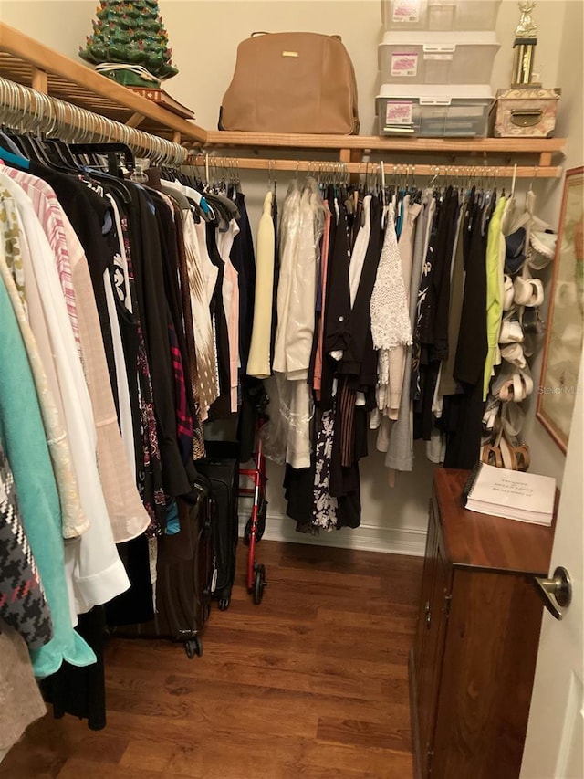 walk in closet featuring dark wood-type flooring