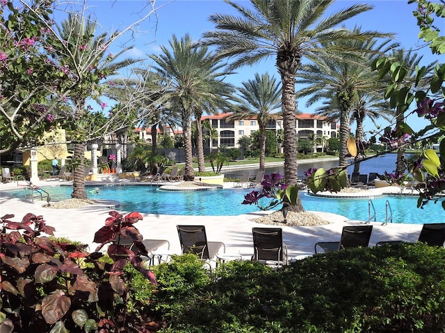 view of swimming pool