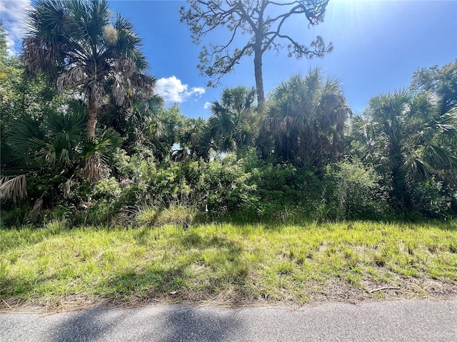 539 Mcdill Dr, Port Charlotte FL, 33953 land for sale