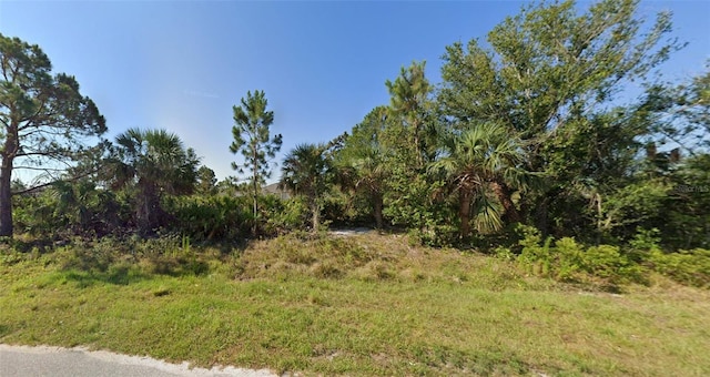 12173 Shellnut Ave, Port Charlotte FL, 33981 land for sale