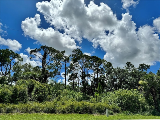 255 Ravenswood Blvd, Port Charlotte FL, 33954 land for sale