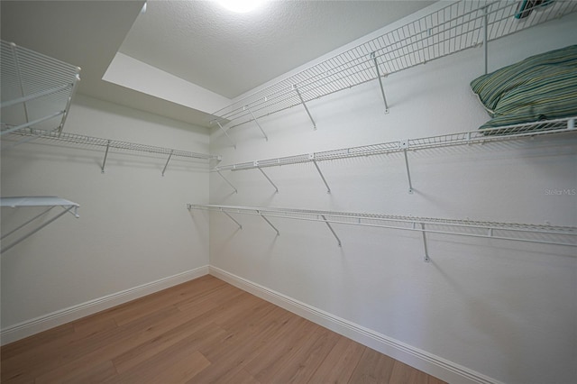 spacious closet with hardwood / wood-style flooring