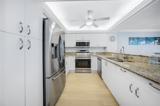 kitchen with sink, stainless steel appliances, a tray ceiling, white cabinets, and ornamental molding