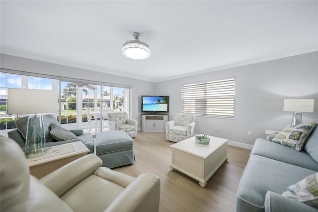 living room featuring light hardwood / wood-style floors and ornamental molding