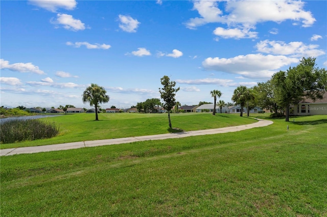 view of community featuring a yard