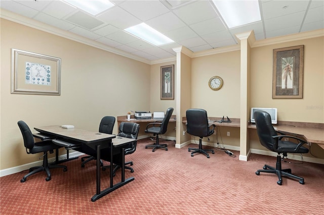 office featuring carpet, a paneled ceiling, and crown molding