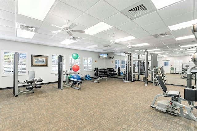 exercise room with carpet flooring, a drop ceiling, and ceiling fan