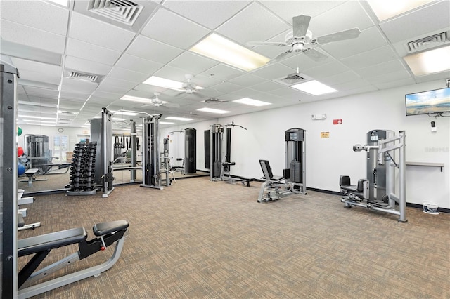 workout area featuring carpet flooring, a paneled ceiling, and ceiling fan