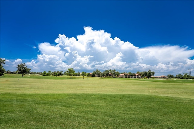 view of home's community with a yard