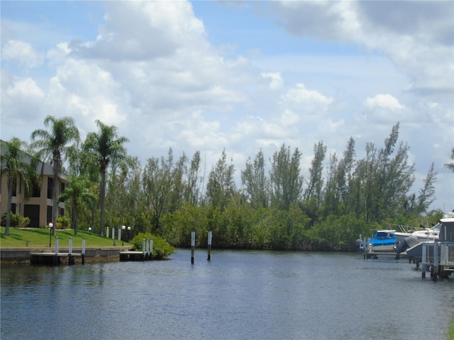 water view featuring a boat dock