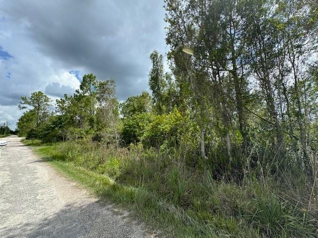 29460 Clara Dr, Punta Gorda, FL 33982 - photo 2