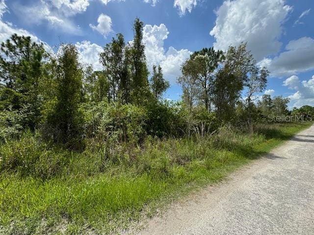 29460 Clara Dr, Punta Gorda, FL 33982 - photo 3