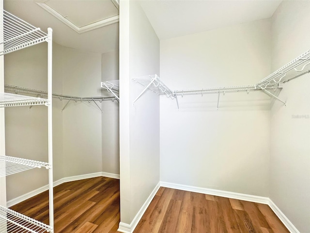 spacious closet with wood-type flooring