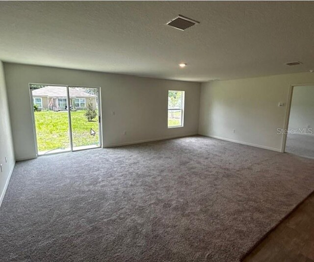 unfurnished room with carpet and a textured ceiling