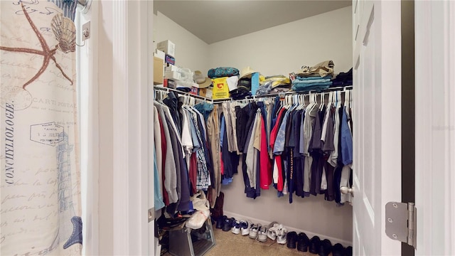 spacious closet with carpet