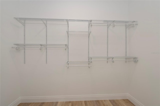 spacious closet featuring light wood-type flooring