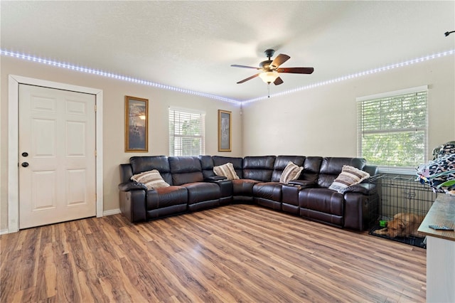 living room with a textured ceiling, wood-type flooring, ceiling fan, and crown molding