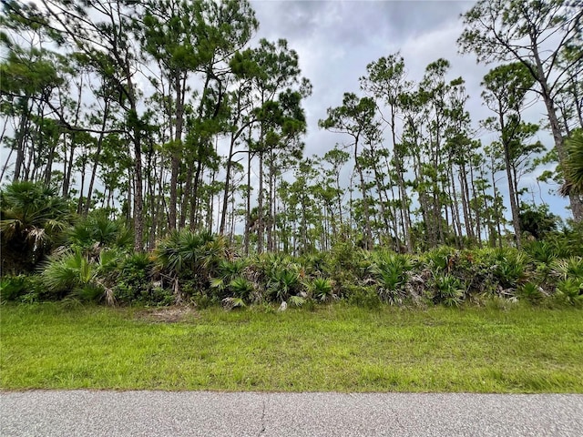 13232 Finkle Ave, Port Charlotte FL, 33981 land for sale