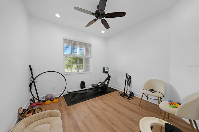 exercise area featuring ceiling fan and hardwood / wood-style floors