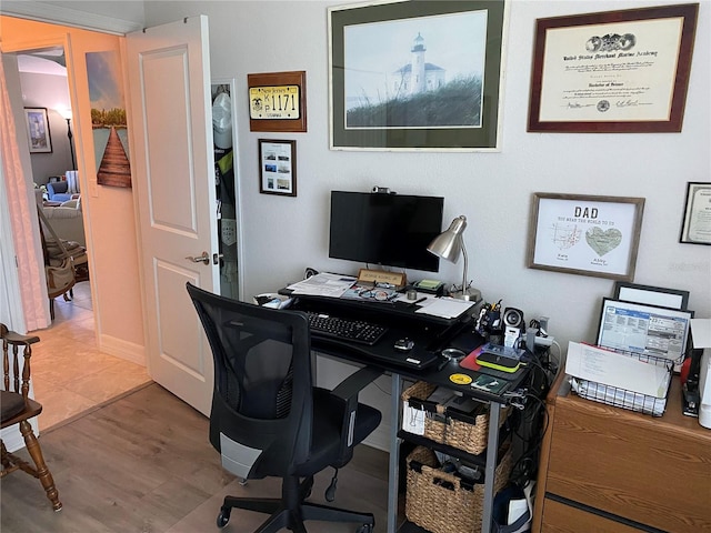 office featuring wood-type flooring