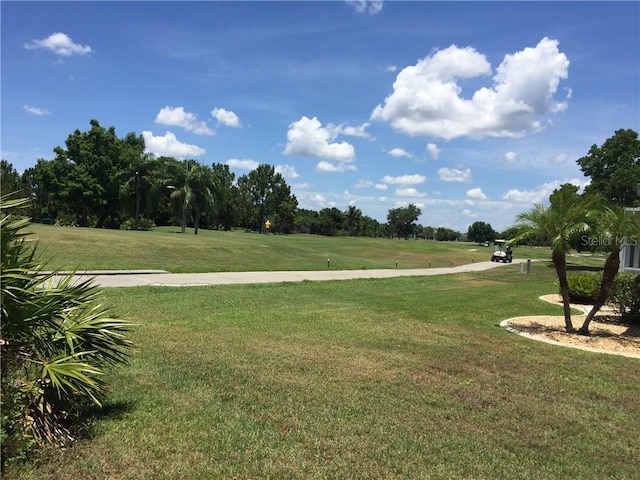 view of community featuring a yard